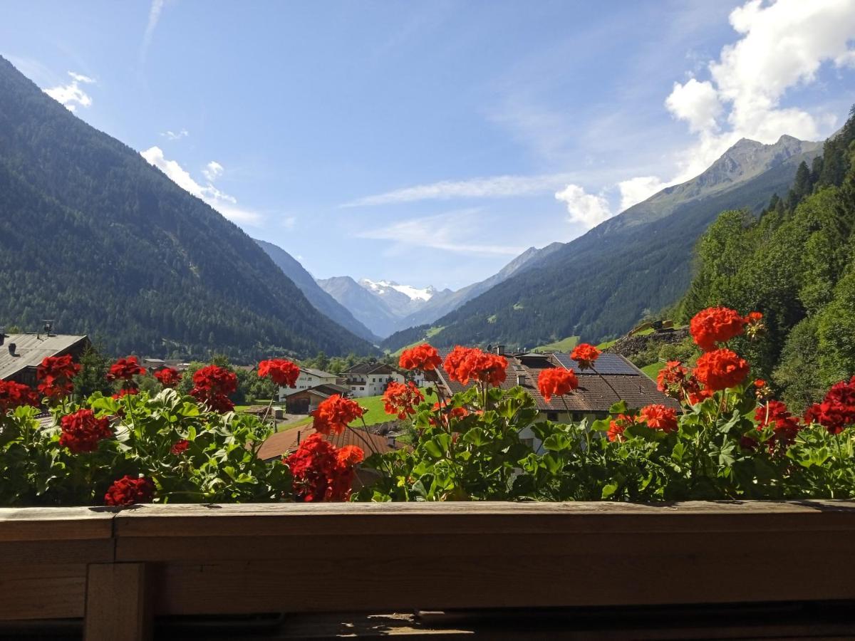Apartment Fernerblick Neustift im Stubaital Εξωτερικό φωτογραφία